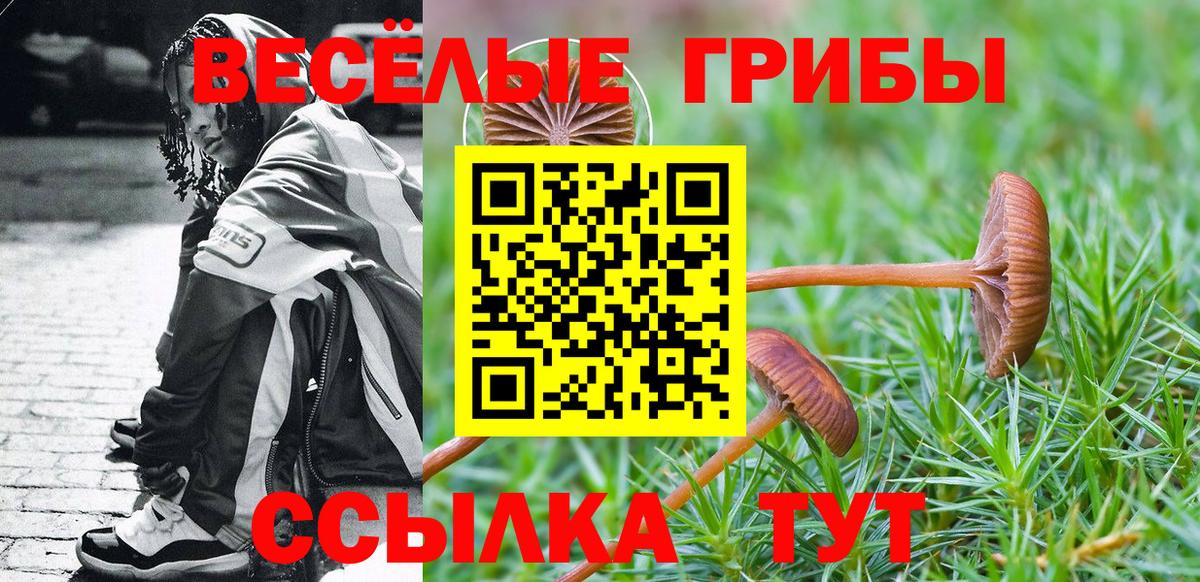 Псилоцибиновые грибы GOLDEN TEACHER  что такое   Сухой Лог  Вход с VPN  Псилоцибиновые грибы прущие грибы 
